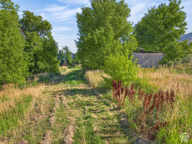 Expansive grassy path connecting different parts of property