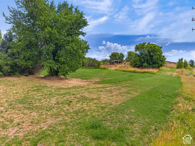 Expansive grassy lot featuring mature trees and a distant outbuilding