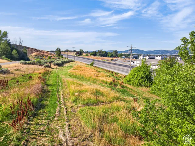 Expansive grassy area with mature treestent