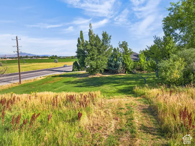 Expansive green space featuring mature trees and a distant mountainous backdrop