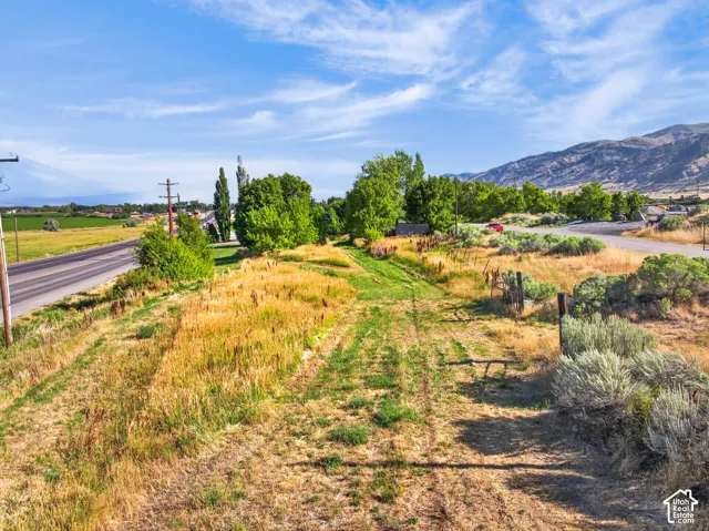 Expansive lot featuring natural vegetation and a distant mountain backdrop