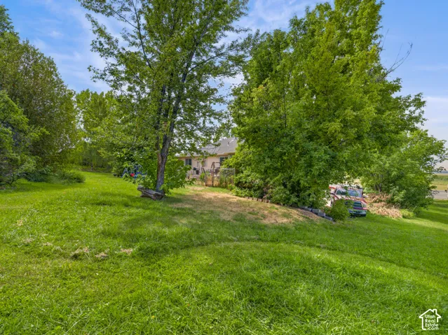 Expansive green lawn with mature trees and a partial view of the property
