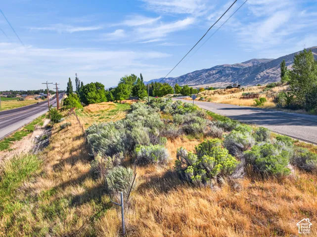 Expansive undeveloped land featuring natural vegetation, a paved roadway, and a distant mountain range