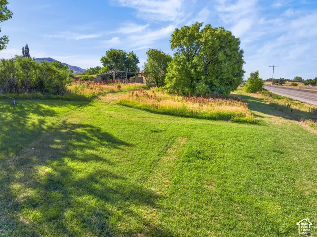Expansive grassy area with mature trees and a distant mountain backdrop
