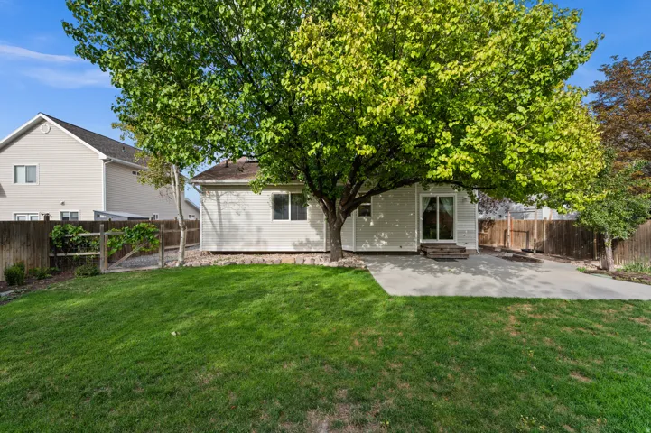 Expansive green lawn with a mature shade tree and a concrete patio