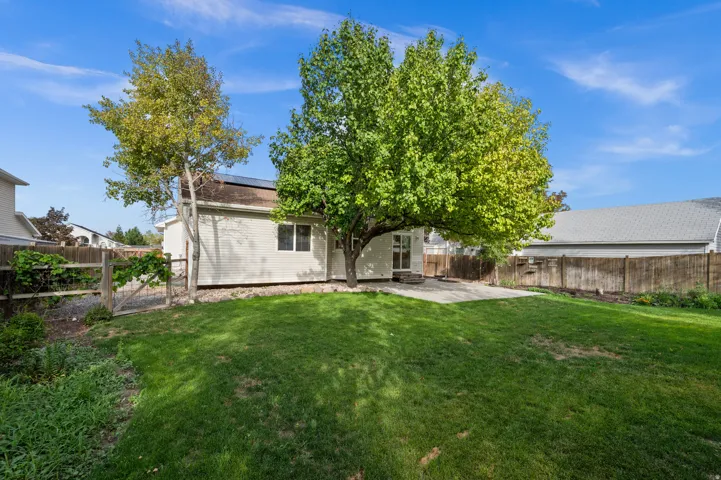 Expansive backyard with a manicured lawn, established trees, privacy fencing, and a concrete patio