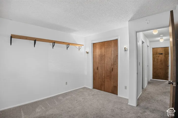 Light gray carpeting, wood-finish bi-fold closet doors, wall-mounted light fixtures, and a wood shelf with black metal brackets