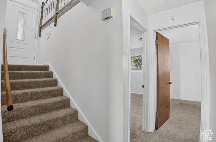 Carpeted staircase with wood handrail, leading to a landing with a solid wood door and white walls