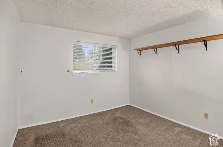 Neutral-toned wall paint, textured ceiling, brown carpet, window with horizontal blinds, and a wood-finish shelf with black metal brackets
