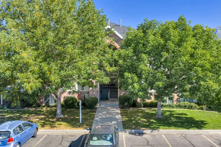 Shady trees provide privacy and cooler temperatures