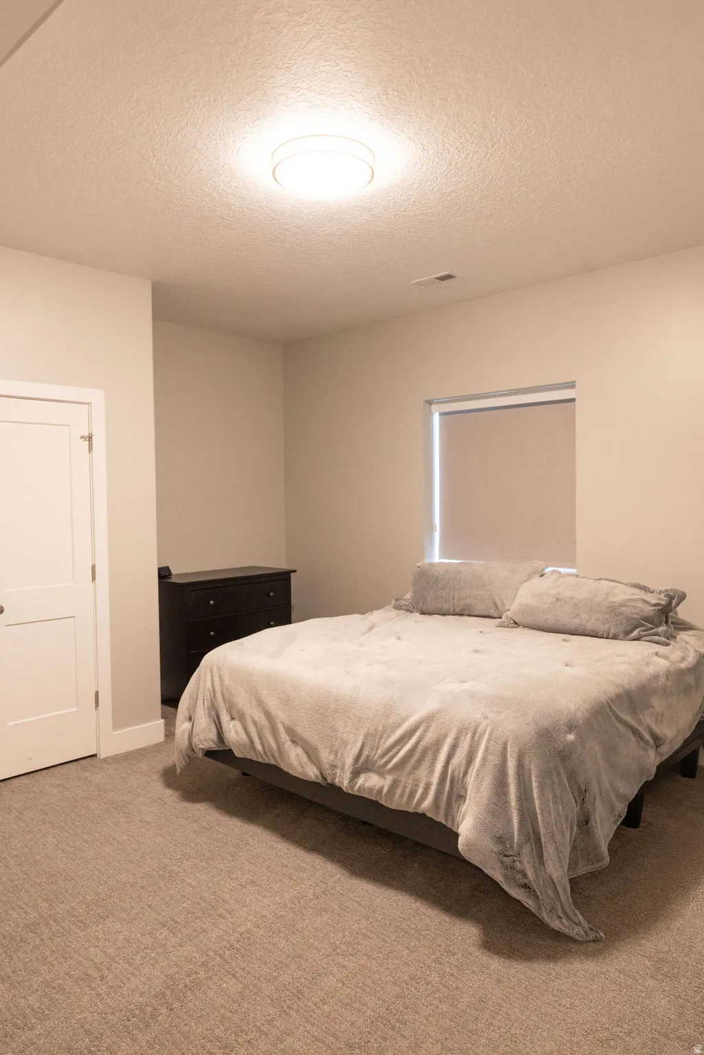 Neutral wall color, single window with roller shade, flush mount ceiling light, and carpeted flooring