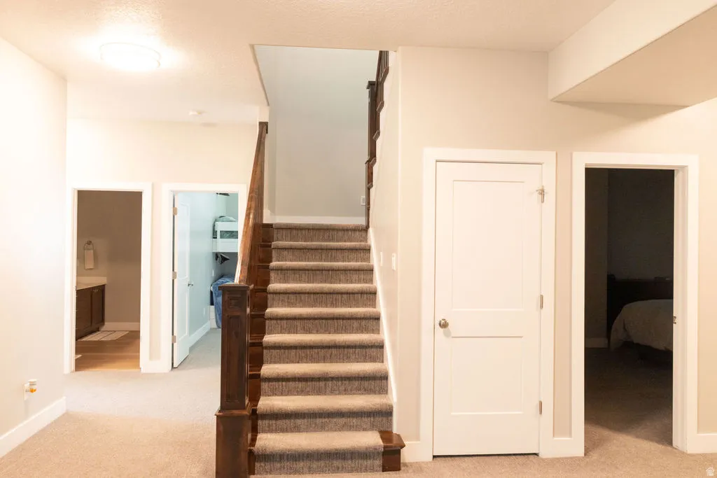 Carpeted staircase with dark wood newel posts and handrail, neutral painted walls, and white trim