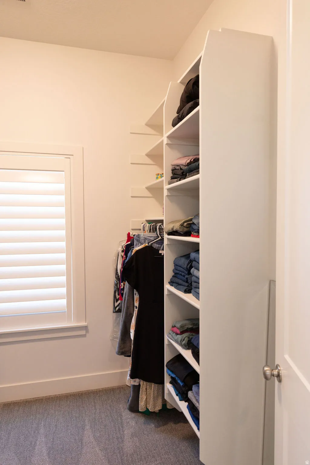 Built-in closet shelving, integrated hanging rod, window with plantation shutters, light-toned wall paint, and gray carpet flooring