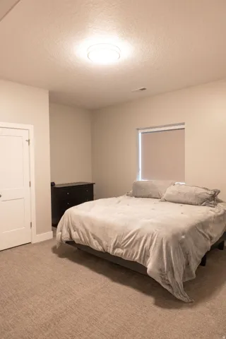 Neutral wall color, single window with roller shade, flush mount ceiling light, and carpeted flooring
