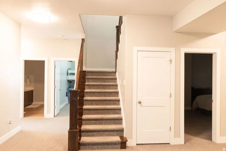 Carpeted staircase with dark wood newel posts and handrail, neutral painted walls, and white trim