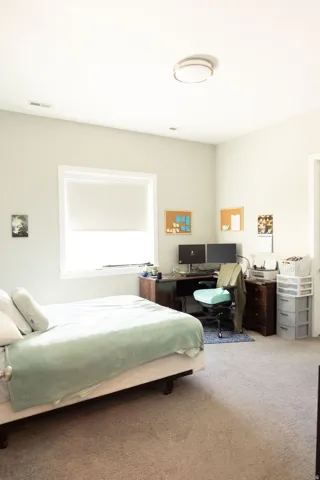 Neutral-toned carpeting, white window trim, flush-mount ceiling light fixture