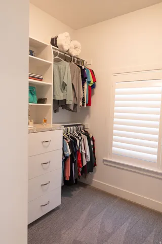 Built-in shelving, white cabinetry with polished chrome pulls, white window shutters, wall-mounted hanging rods, and grey carpeting
