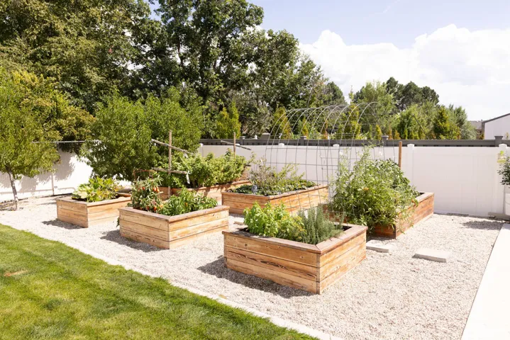 Manicured lawn area with a gravel pathway, five raised garden beds, established plantings, and a white privacy fence