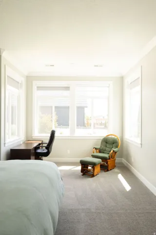 Light gray wall paint, crown molding, gray carpet flooring, multiple windows, and white window blinds