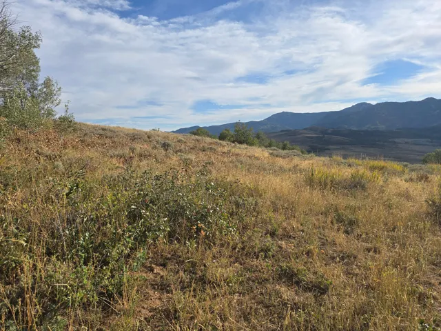 Expansive sloped terrain with natural vegetation, framed by distant mountains and a partially clouded sky
