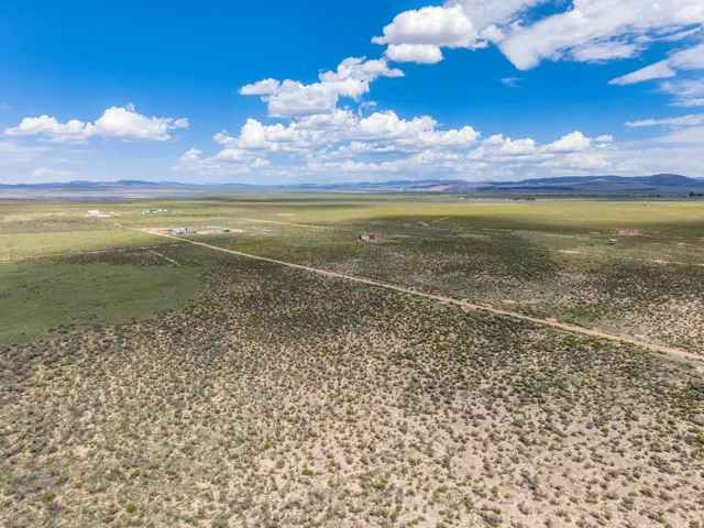 Expansive desert landscape with scattered green vegetation, a visible dirt road, and distant mountain ranges