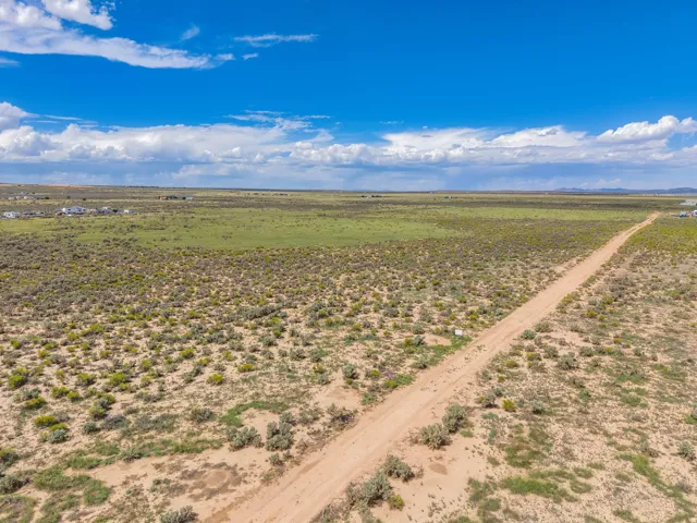 Expansive undeveloped land featuring a dirt access road and scattered native vegetation