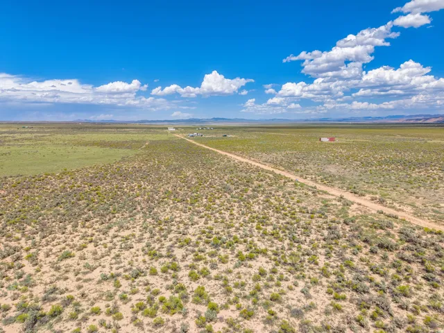 Expansive open land featuring diverse vegetation and a defined dirt road