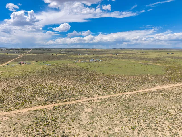 Expansive rural landscape featuring a dirt road and scattered vegetation