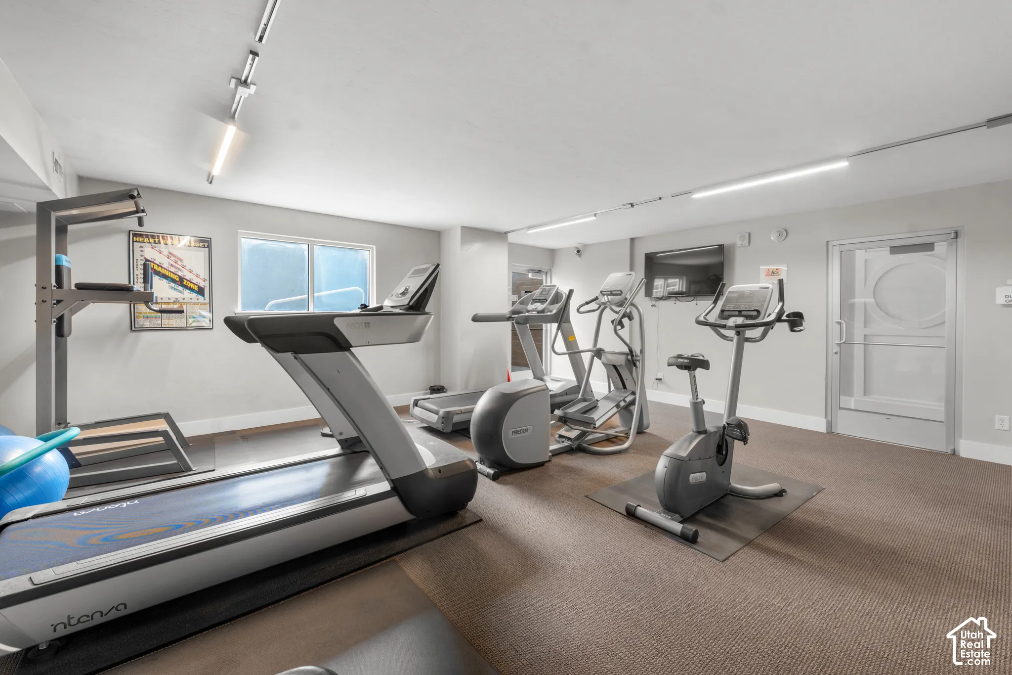 Fitness area featuring carpeted flooring and track lighting