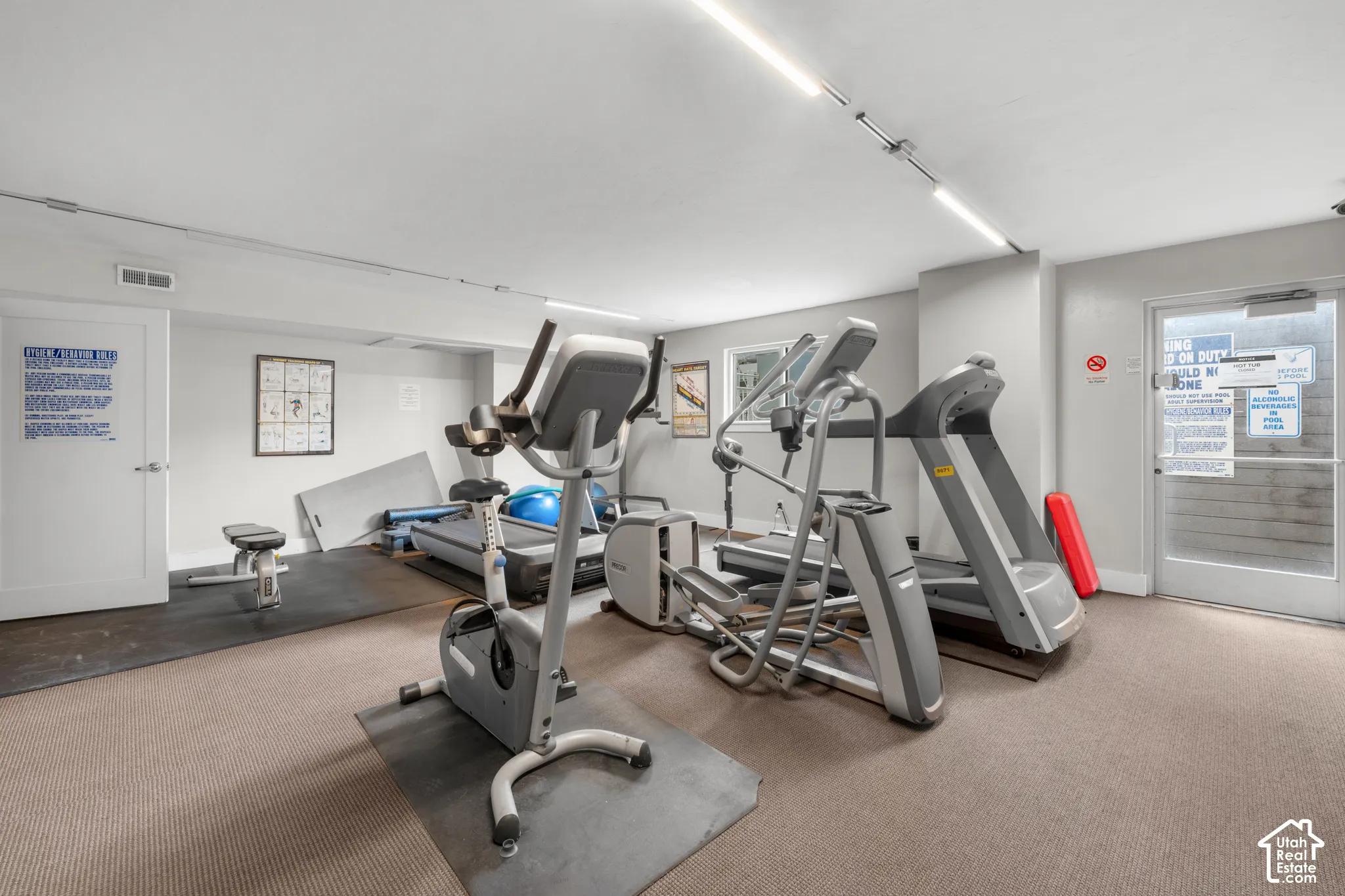 Carpeted flooring, track lighting, and a white door with a silver handle
