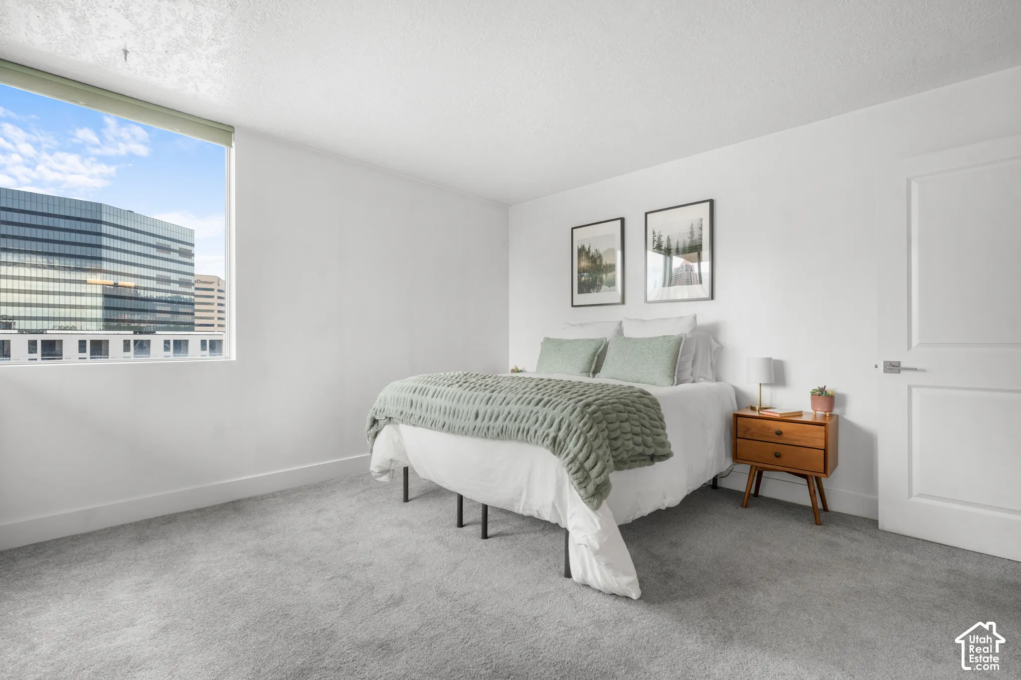 Owners suite providing abundant natural light, views, light gray carpeting, and a white paneled interior door with modern hardware