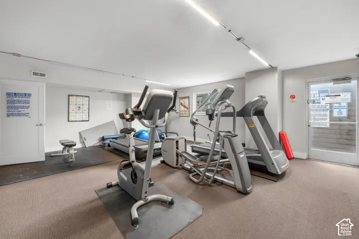 Carpeted flooring, track lighting, and a white door with a silver handle