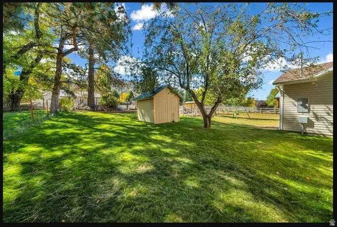 Expansive green lawn with mature trees and a detached storage shed