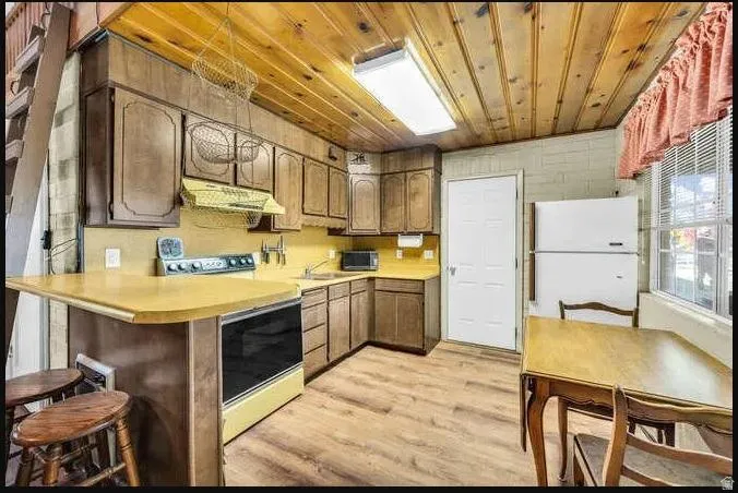Wood-paneled ceilings, wood-finish flooring, built-in cabinetry, and a full-size refrigerator