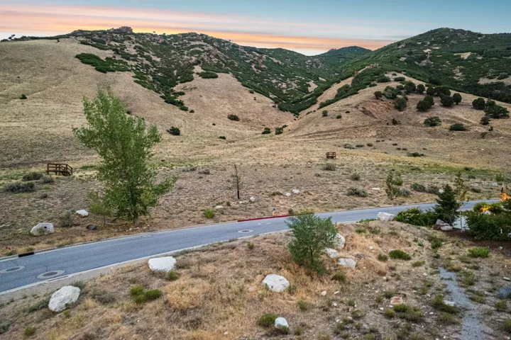 Paved road with natural landscaping and distant mountain scenery