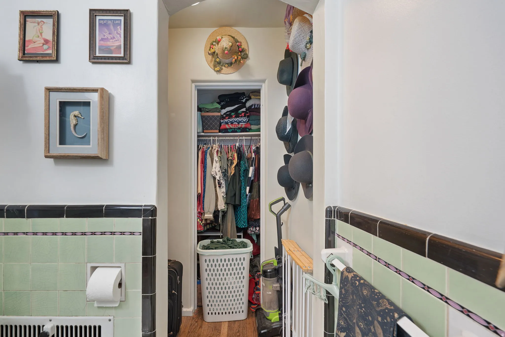 Built-in closet with hanging rod and shelving