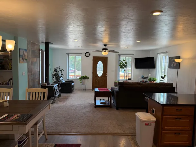 Wood-finish flooring at entry, carpeted living area, and a wood-burning stove with a decorative slate-tiled wall