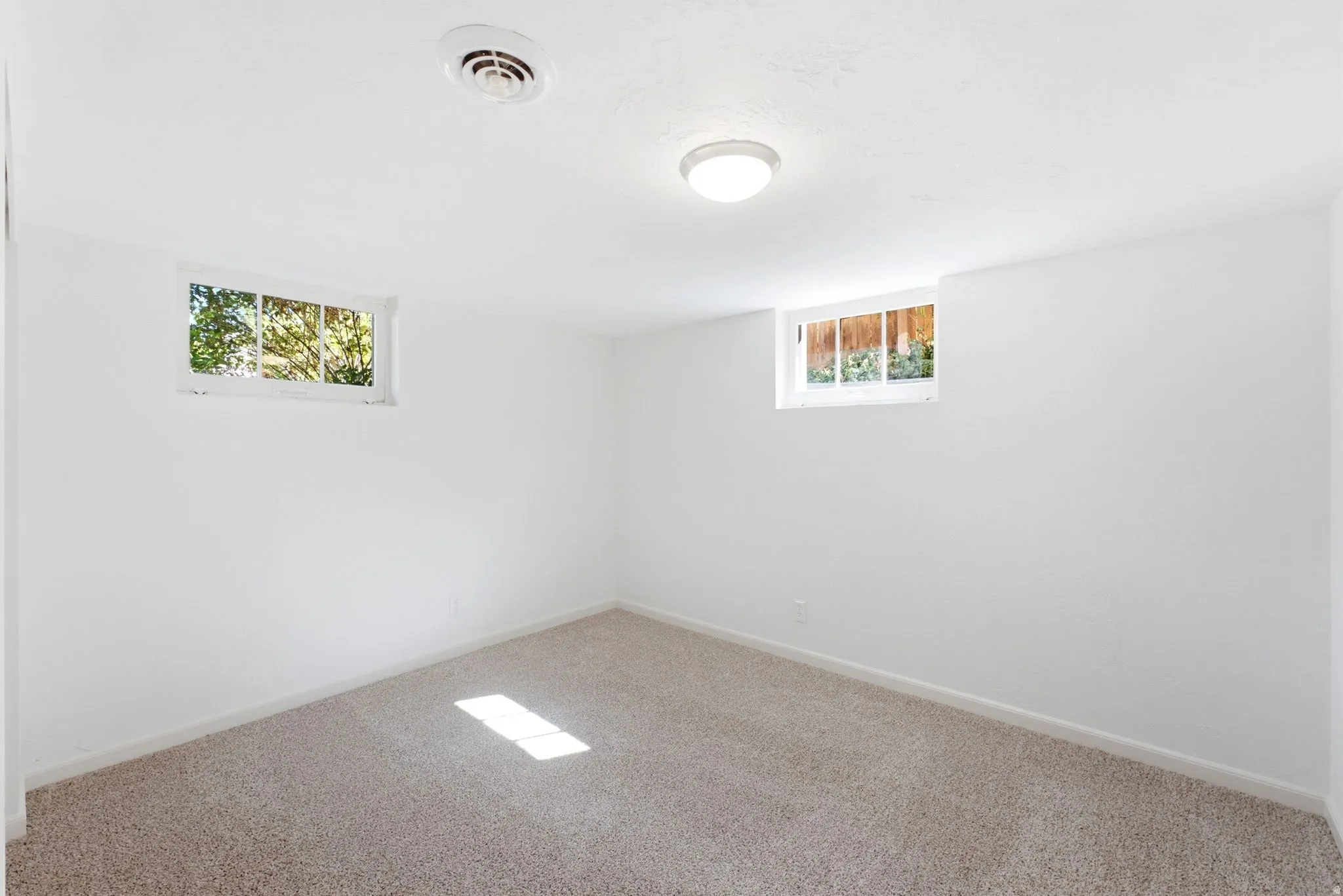 White painted walls, neutral carpeting, and two windows