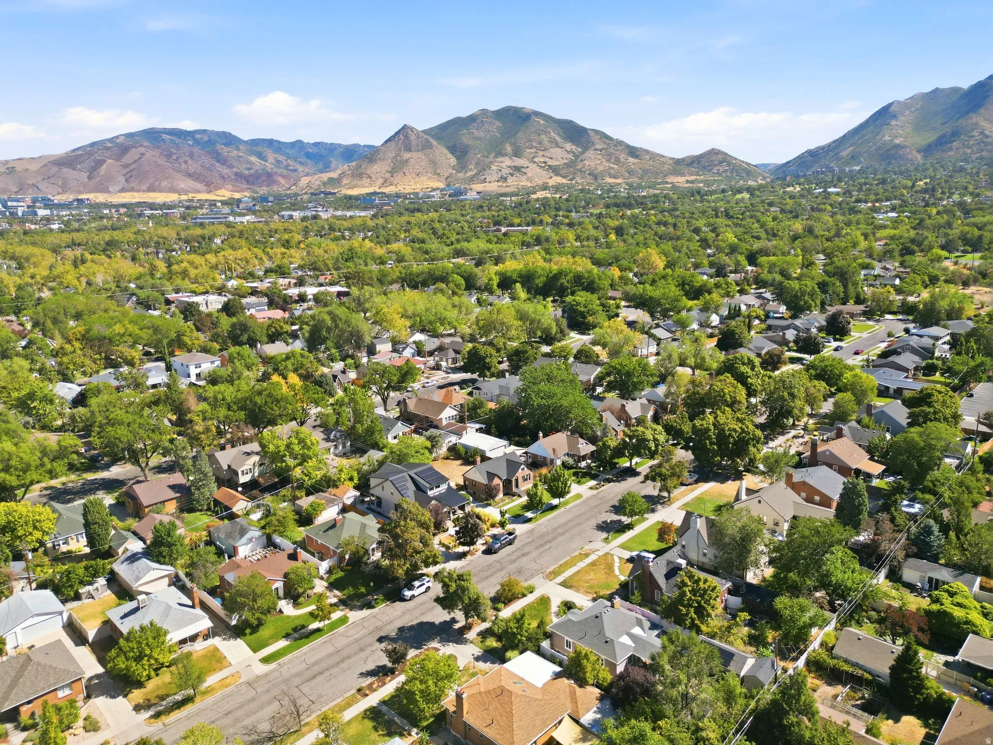 Expansive residential area with numerous mature trees, framed by a prominent mountain range