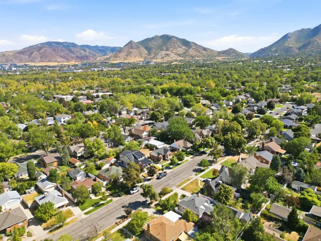 Expansive residential area with numerous mature trees, framed by a prominent mountain range