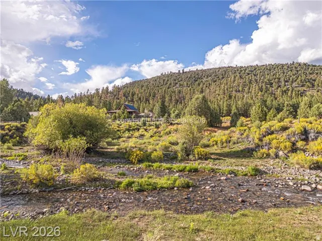Wooded mountain setting with a natural creek, green foliage, and a distant cabin structure