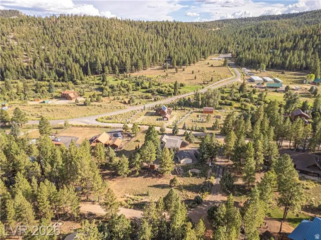 Expansive property featuring mature pine trees, natural landscaping, and a winding paved road