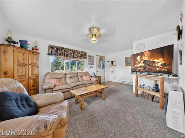 Carpeted flooring with a contrasting area rug