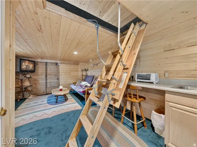 Wood-paneled walls and ceiling, built-in kitchenette with sink, pull-down attic access ladder