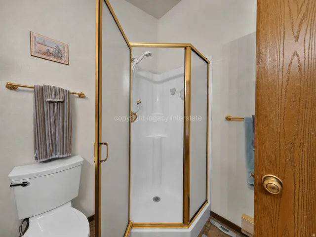 White commode and a corner shower with brass-finish framing and hardware