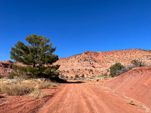 Red-earthed terrain with scattered vegetation and a prominent evergreen