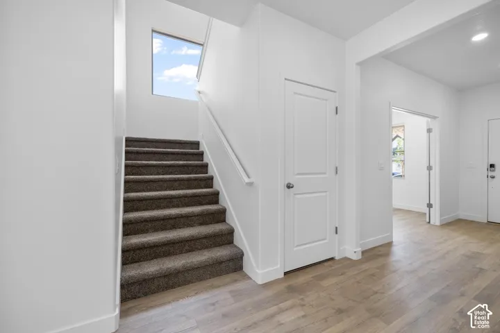 Wood-finish flooring, staircase with carpeted treads, white interior doors, and a natural light source from an overhead window