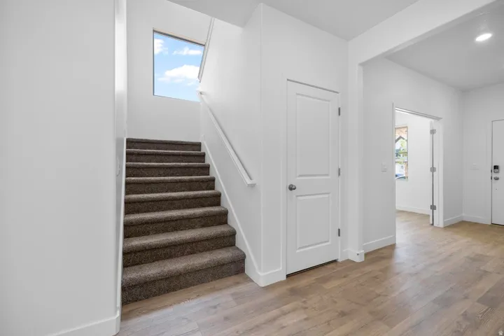 Wood-finish flooring, staircase with carpeted treads, white interior doors, and a natural light source from an overhead window