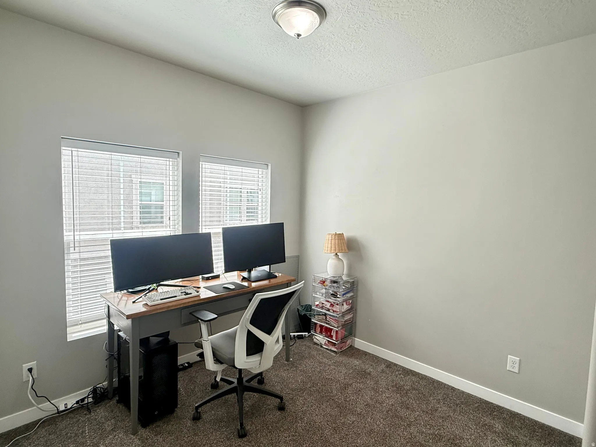 Neutral wall finishes with dual windows for natural light, plush carpet flooring, and a ceiling-mounted light fixture