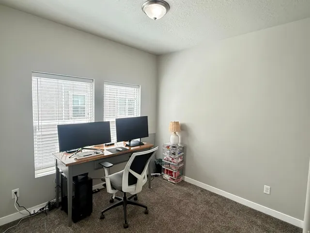 Neutral wall finishes with dual windows for natural light, plush carpet flooring, and a ceiling-mounted light fixture